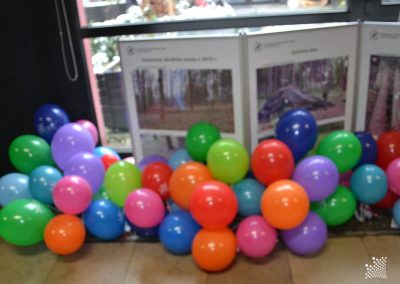 Baloniki z Dobrym Słowem czekają na swoich nowych właścicieli.