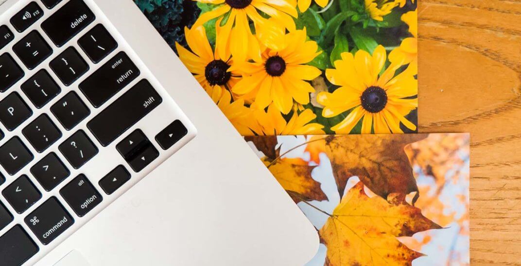 Marcowe Linki Formuły Dobra