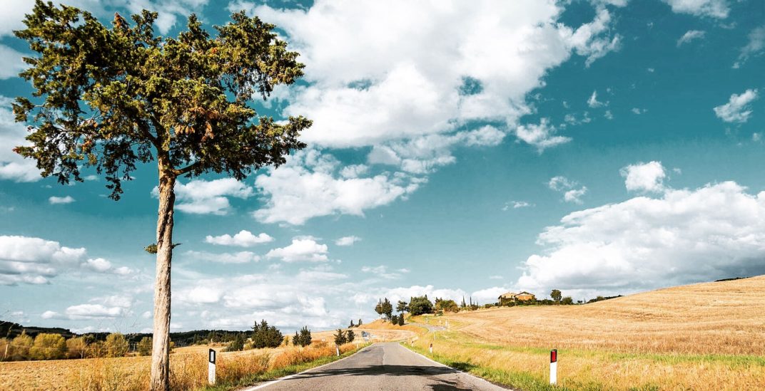 Dzień Pielęgniarki i Pielęgniarza jest 24 września