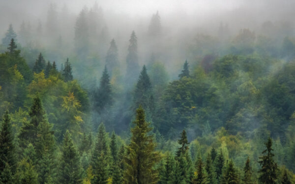 Wyjazdowe Spotkanie dla Rodziców po Stracie – maj 2026