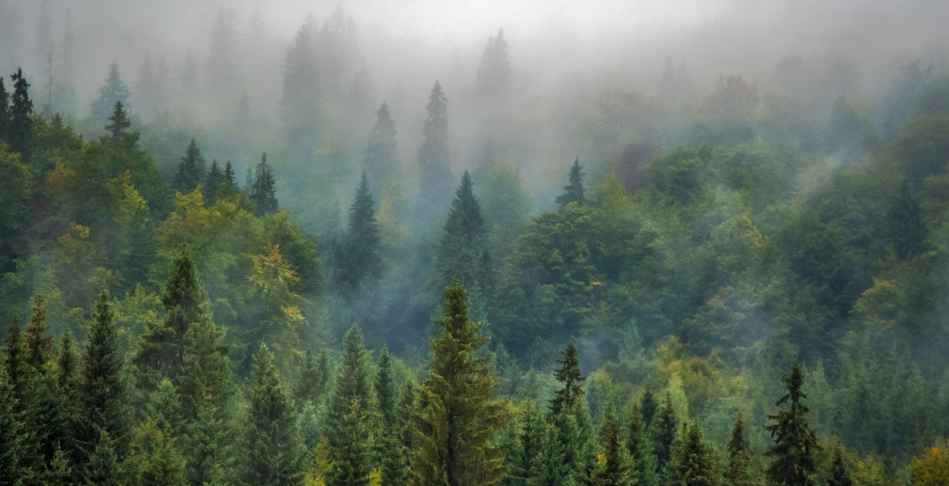 Wyjazdowe Spotkanie dla Rodziców po Stracie – maj 2026